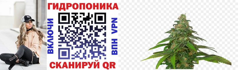 Наркошоп Пудож АМФЕТАМИН МЕГА ССЫЛКА A-PVP COCAIN