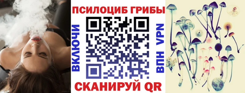 Галлюциногенные грибы Psilocybe где купить наркоту Пудож
